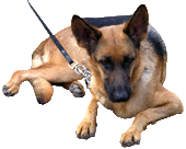 dog0040.gif